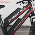 New Condition with Competitive price Fat Tire Electric Bike Mountain Bike